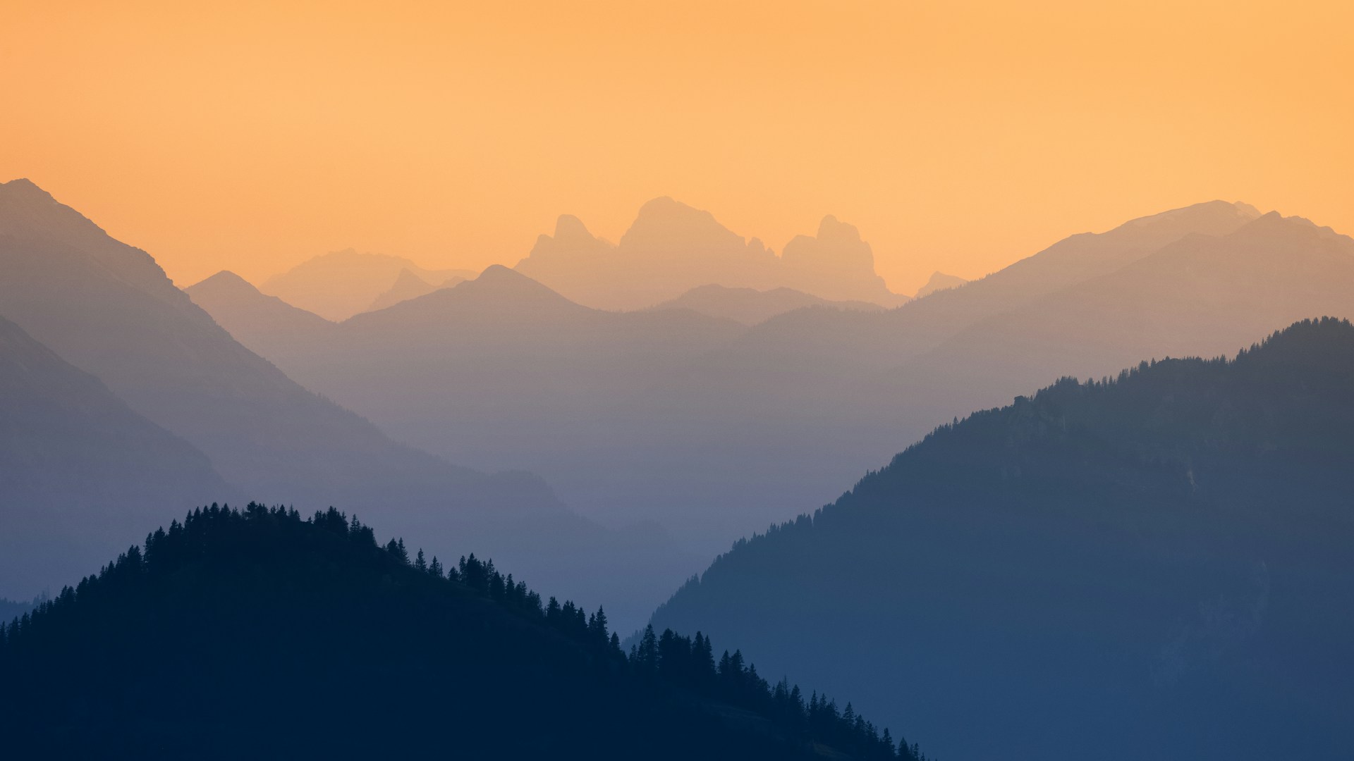 Parallax image